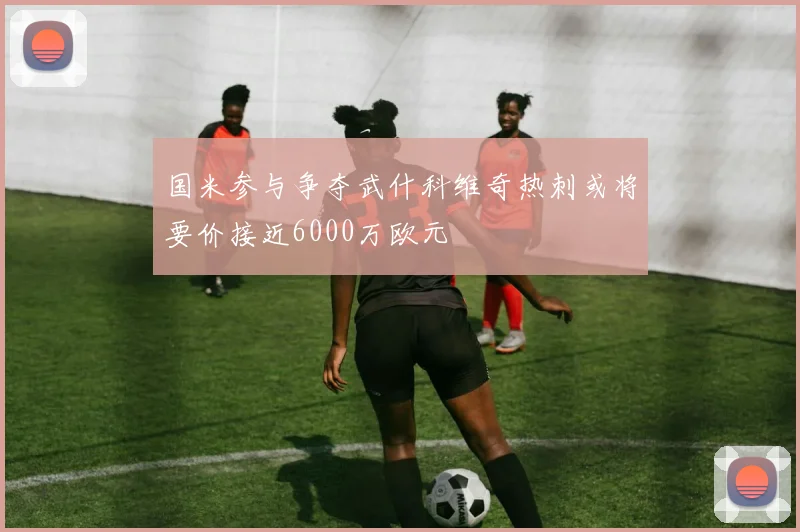 国米参与争夺武什科维奇热刺或将要价接近6000万欧元
