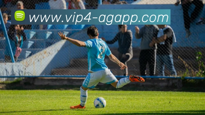 互动解说服务